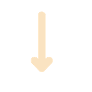 261