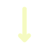 261