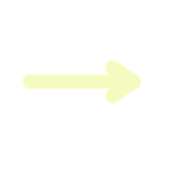 262