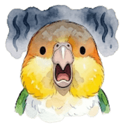 024