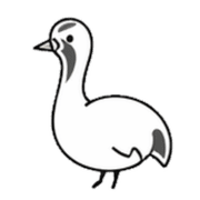 029
