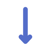 261