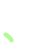 256