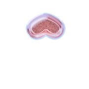 231