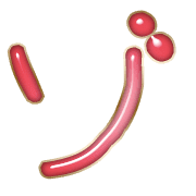 145