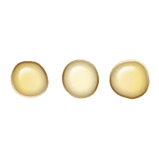 257