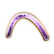 029
