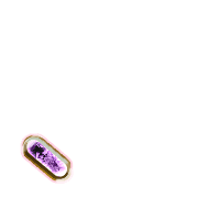 256