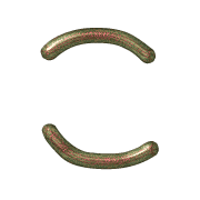 010