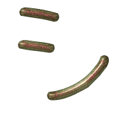 092