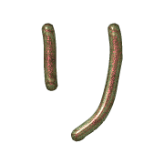 120
