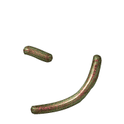 126