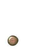 246