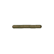 251