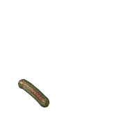 256
