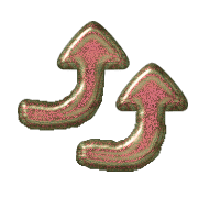 303