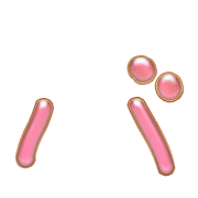 151