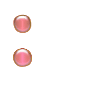 244