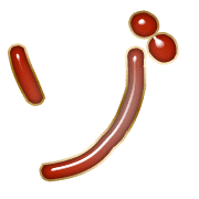 145