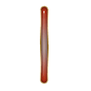 242