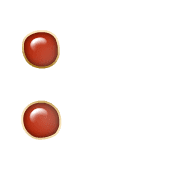 244