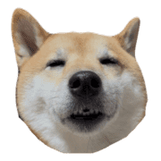 003