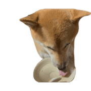 004