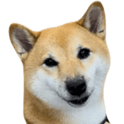 008