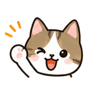 003