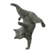 015
