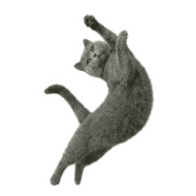 016