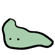 031