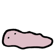 034