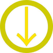 261