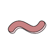 224