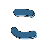 010