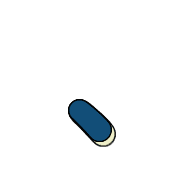 256