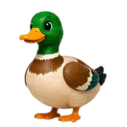 025