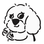 010