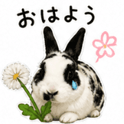 004
