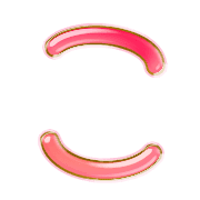 010