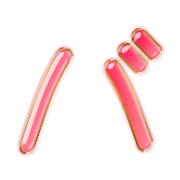 151