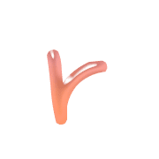 205