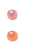 244