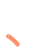 256
