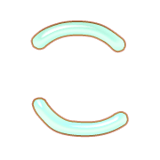 010