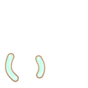 048