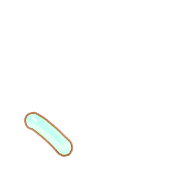 256