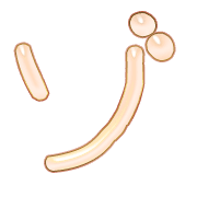 145