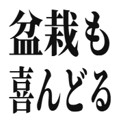 023